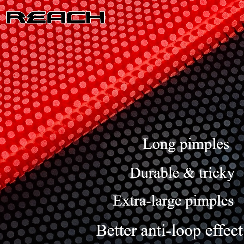 Reach C-8 C-801 Table-tennis R - Badminton Badminton review and price