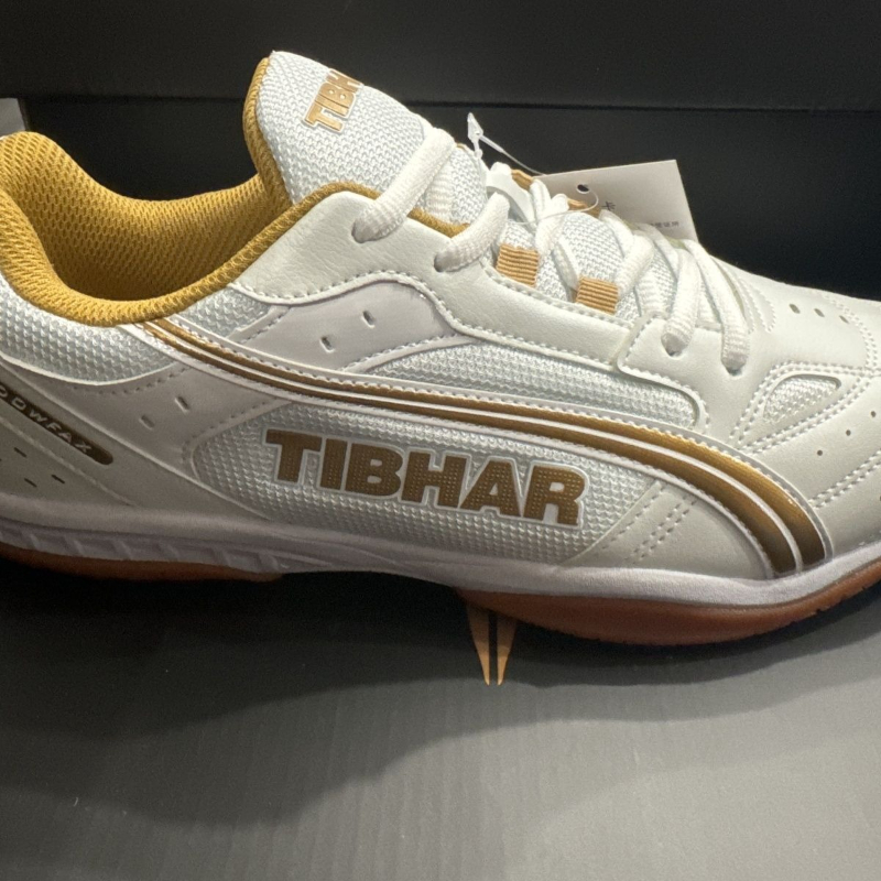 Classic Brand Table Tennis Sho - Shoe Non Slip Badminton review and price